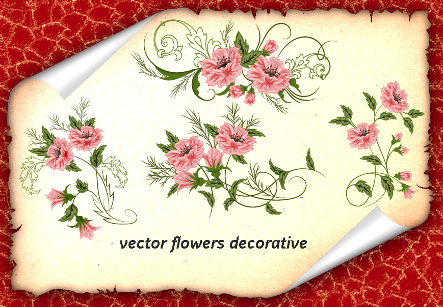 Vector Flowers Decorative