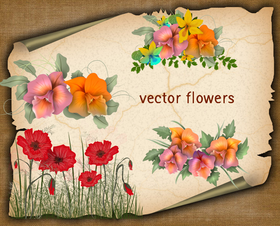 Vector Flowers by roula33 on DeviantArt