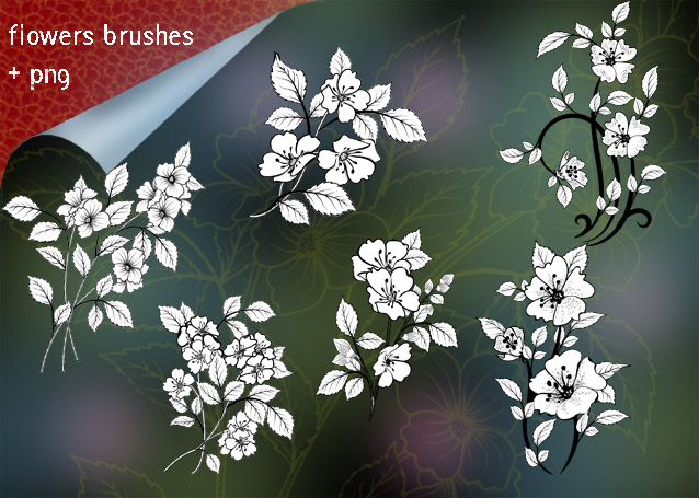 Flowers Brushes-10