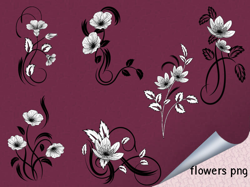 Flowers Png