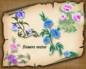 Flowers Vector