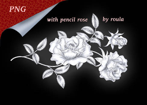 With Pencil Rose