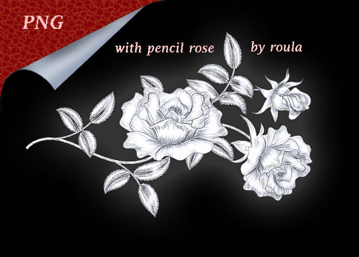 With Pencil Rose by roula33 on DeviantArt