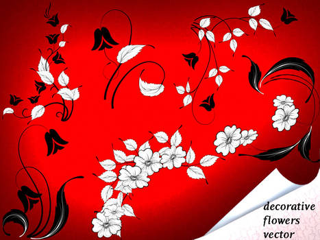 Decorative Flowers Vector