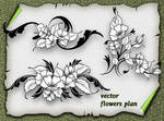Vector Flower Plan