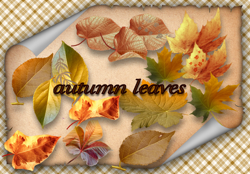 Autumn Leaves by roula33 on DeviantArt