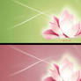 Lotus Wallpaper pack