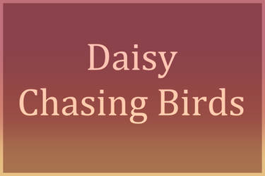 DoC| Chasing Birds