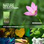 Nature_Photographic_Walls