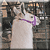 Free Long-Neck Avatar by WDWParksGal-Stock