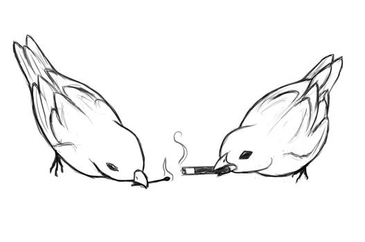 Smoking Birbs