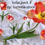 tulip stock pack 003