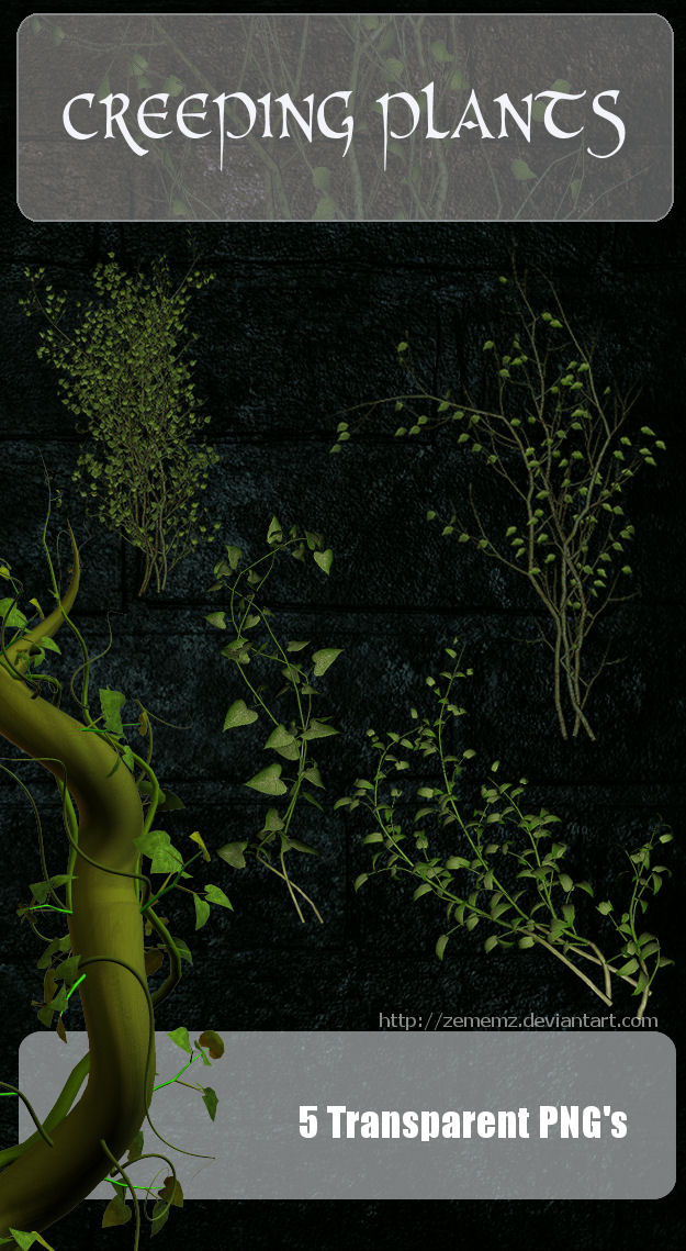 3D Creeping Plants