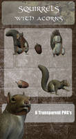 3D Squirrels