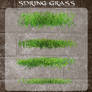 3D Spring Grass