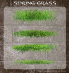 3D Spring Grass