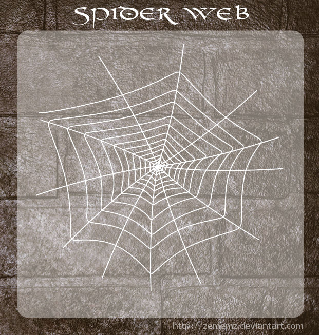 3D Spider Web