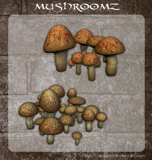 3D Mushroomz