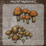 3D Mushroomz