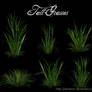 3D Tall Grasses