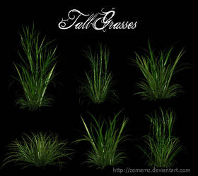 3D Tall Grasses