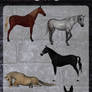 3D Horses Pack 2