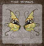 3D Fae Wings 8