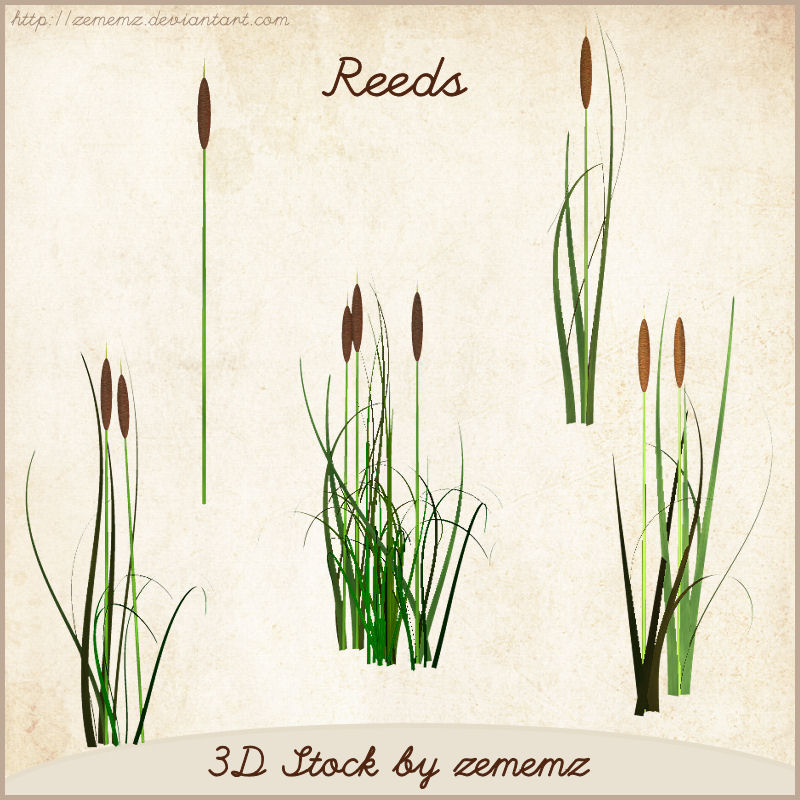 3D Reeds