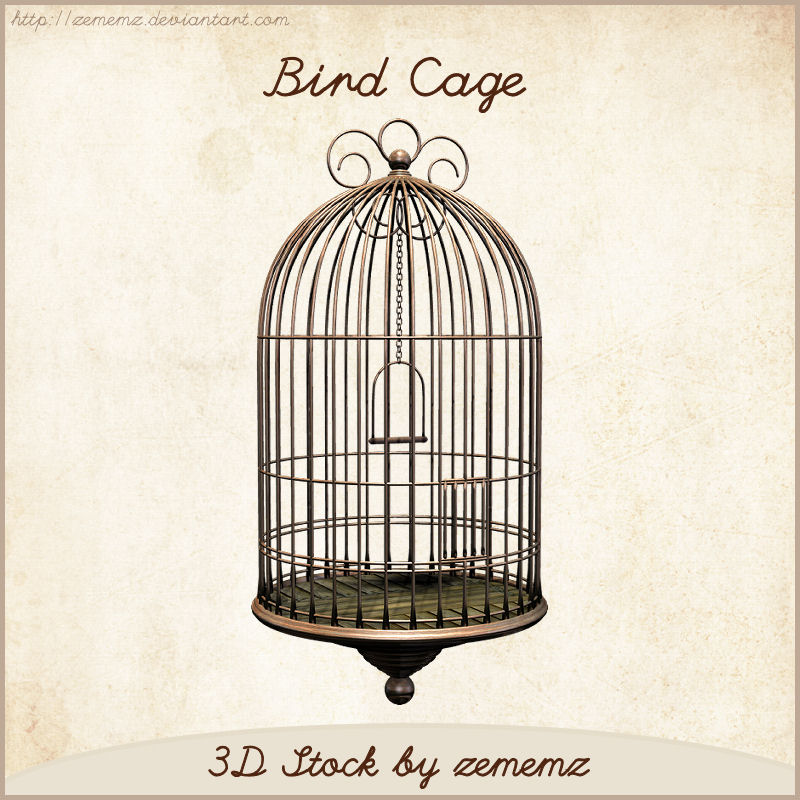 3D Bird Cage