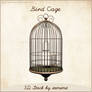 3D Bird Cage