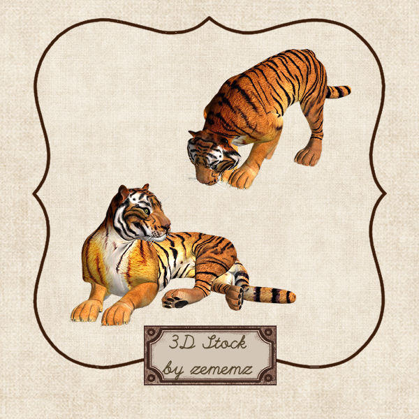 3D Tiger by zememz on DeviantArt
