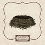 3D Nest