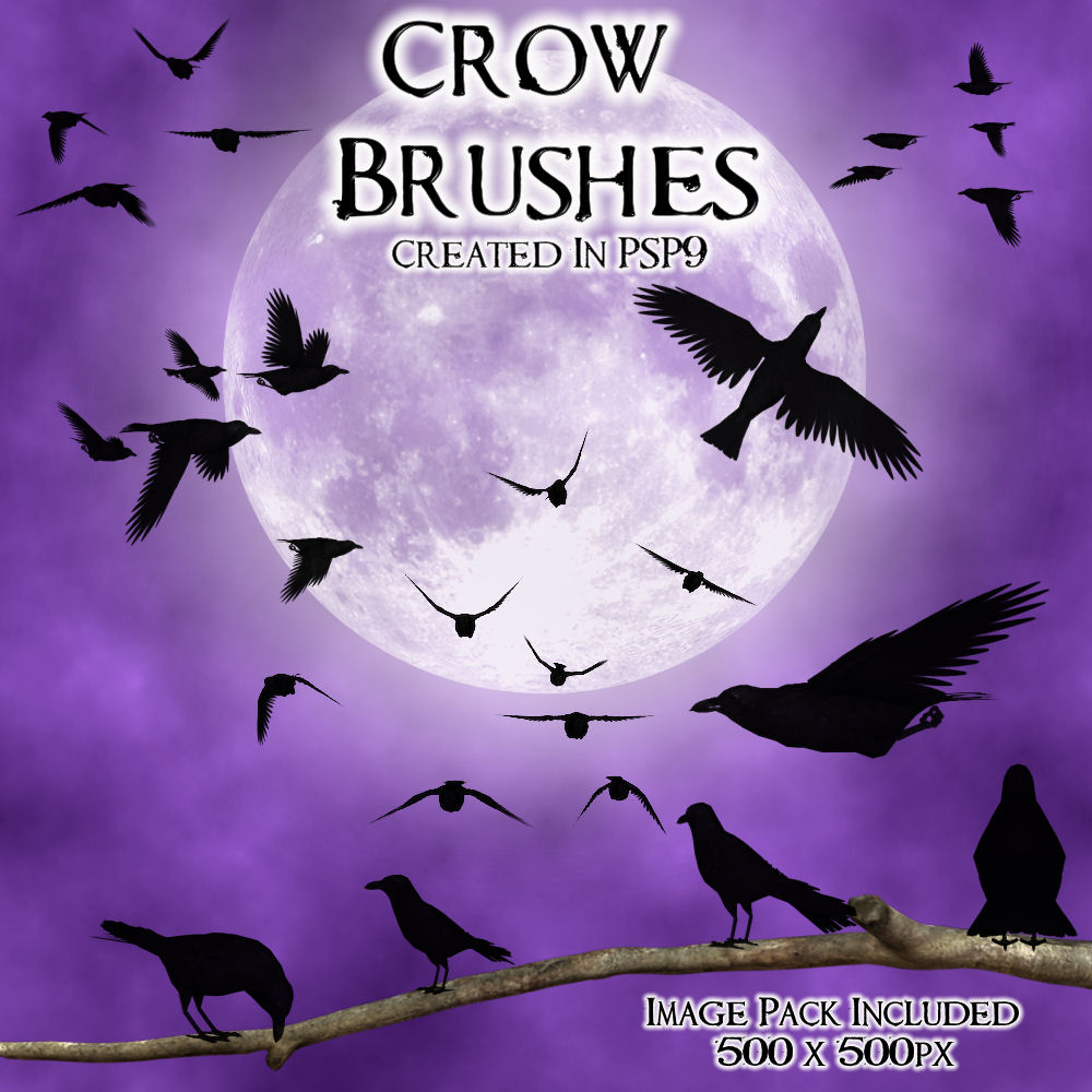 Crow PSP 9 Brushes