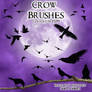 Crow PSP 9 Brushes