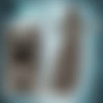 Shrieker 1
