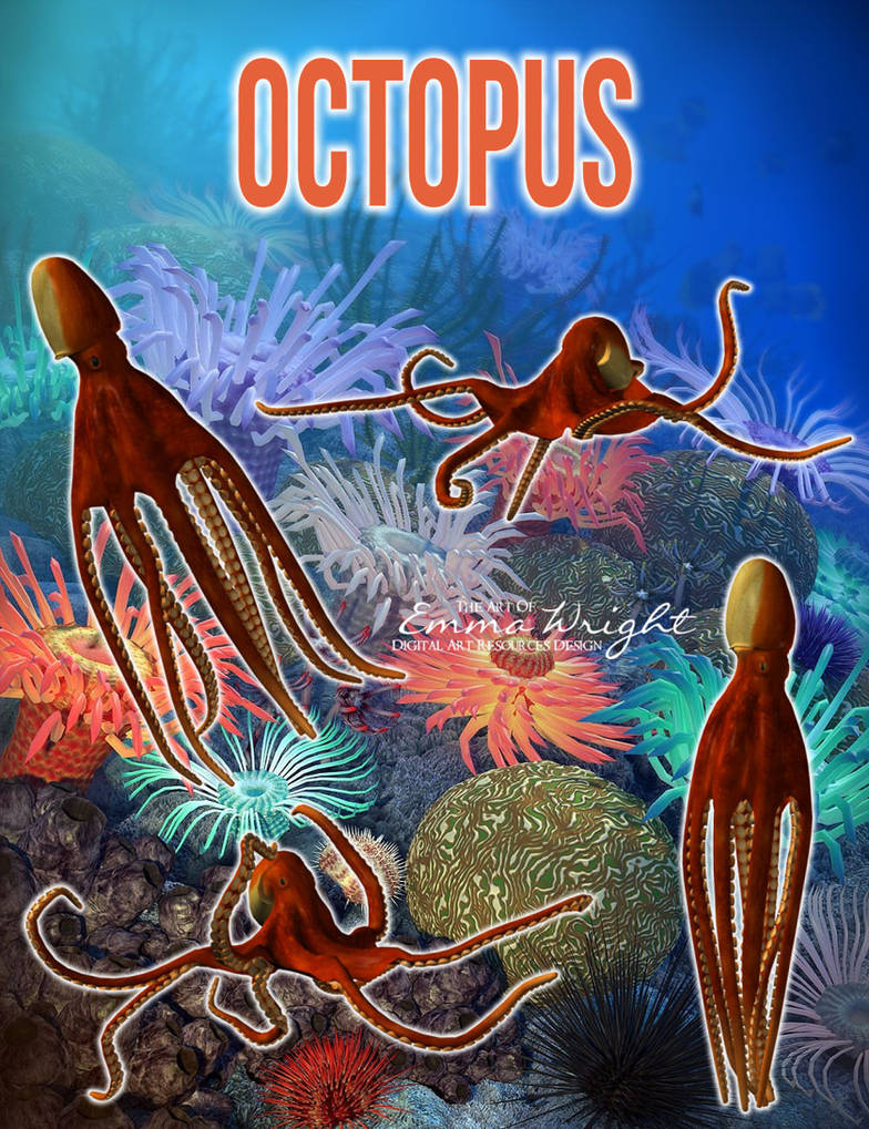Octopus by zememz on DeviantArt