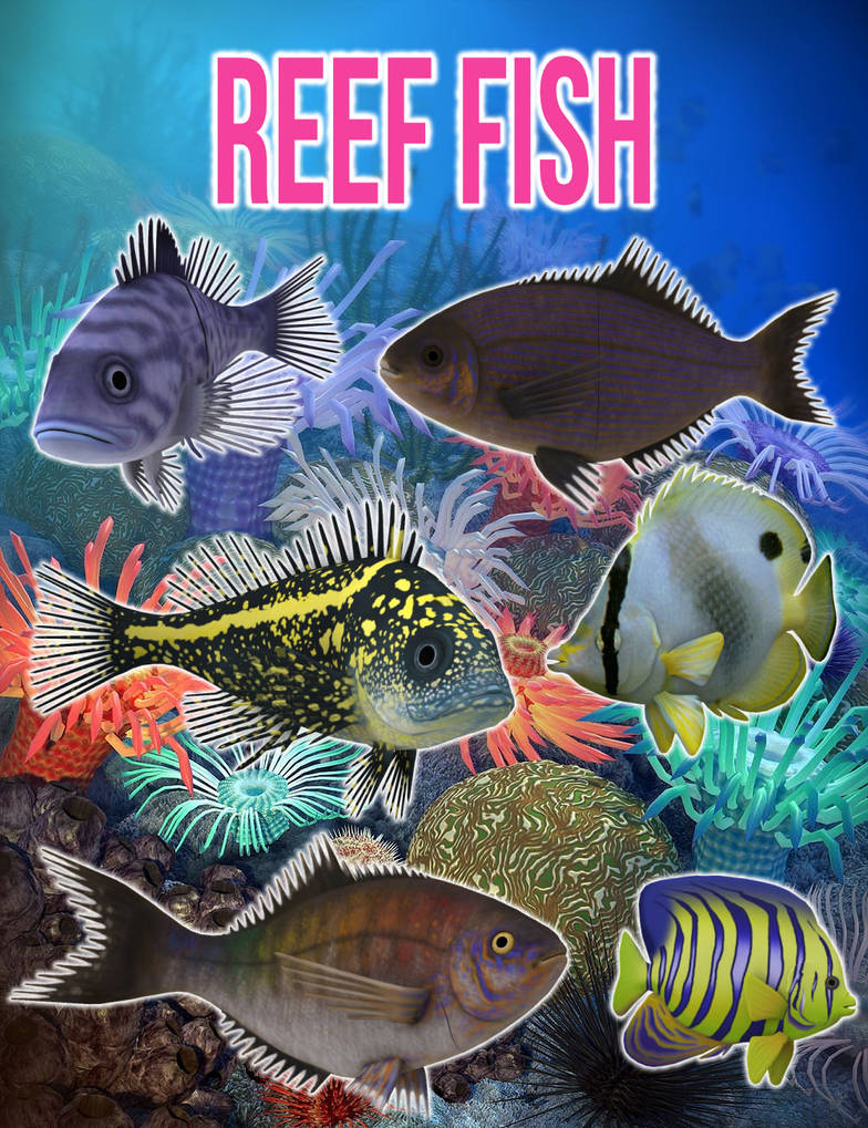 Reef Fish by zememz on DeviantArt