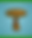 Mushroom - FREE Content