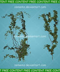 Ivy 002 - FREE Content