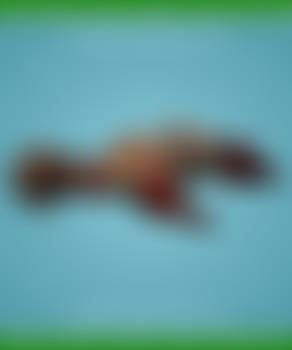 Rotting Body 003 - FREE Content