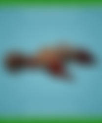 Rotting Body 003 - FREE Content