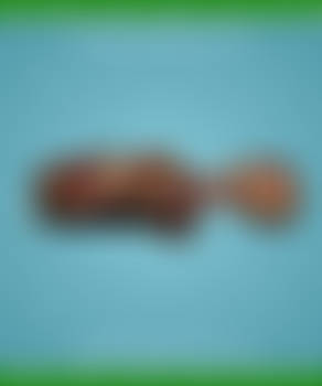 Rotting Body 001 - FREE Content