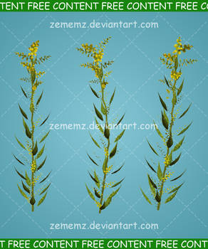 Plant 001 - FREE Content