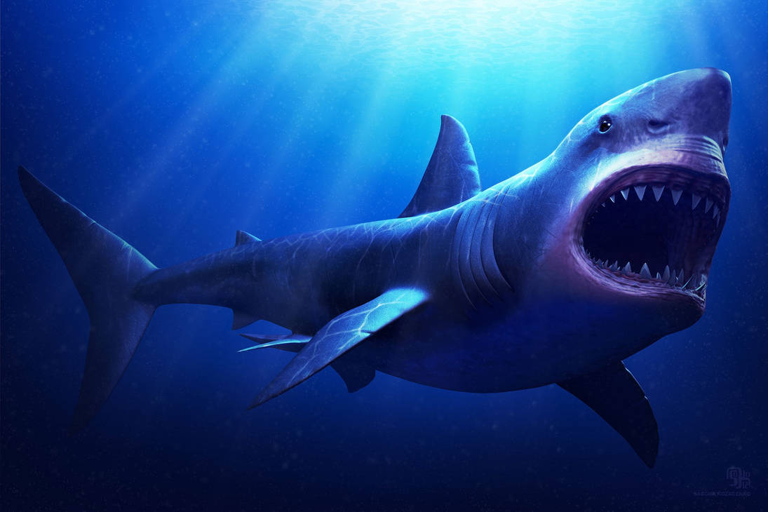Noctis to megalodon TF (Request) by AnimeGamer30 on DeviantArt