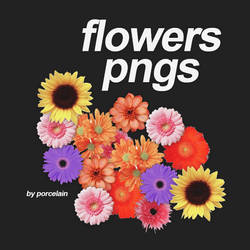 icon flowers pack by porcelain