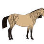 8607 Tigerheart - SOLD