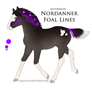 A3066 Moonlit Night Foal Design