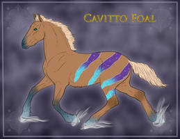 1369 Foal Design - Cavitto 1
