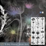 'X-Ray Flowers' Brush Pack