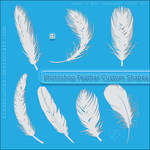 Feather Custom Shapes by flashtuchka